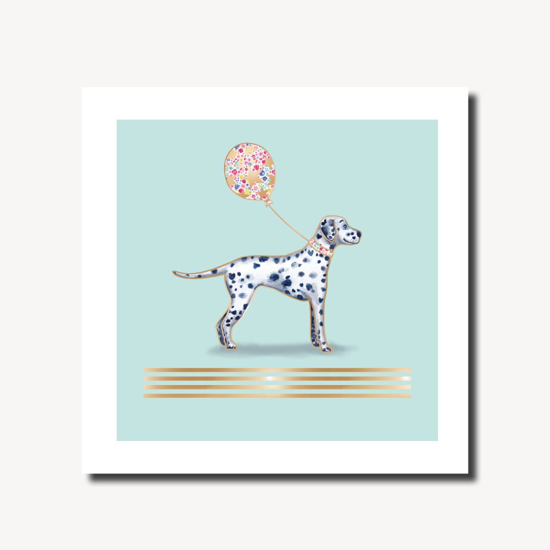 Brook Lane Dalmatian
