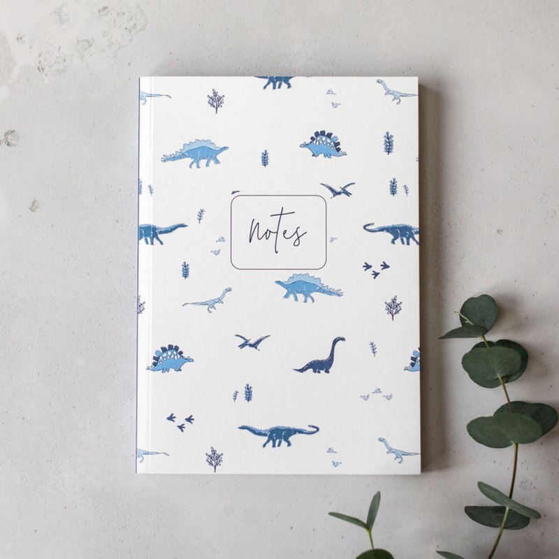 Dino Notebook Pack of 3
